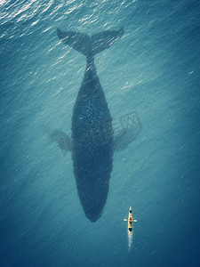 人在一条船浮在水面上旁边一条大鱼，鲸鱼.
