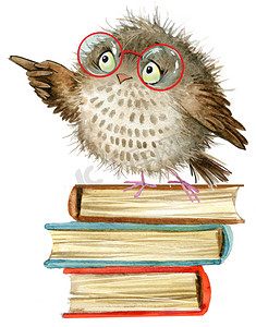 猫头鹰。可爱的猫头鹰。水彩森林鸟。学校图书插图。卡通鸟