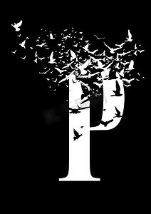 创意字体设计海报摄影照片_在黑色的背景与鸟的信