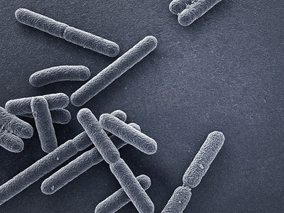 Escherichia coli bacteria closeup 