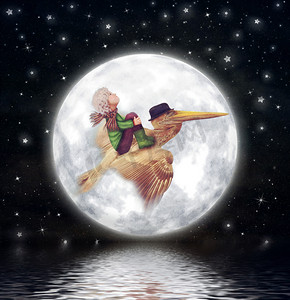 开心快乐插画摄影照片_小男孩和褐鹈鹕飞对满月在夜晚的天空，插画艺术 