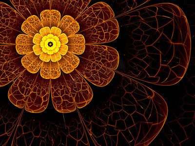 科技橙色摄影照片_橙色的分形花具花瓣，在黑色的橙色详细信息