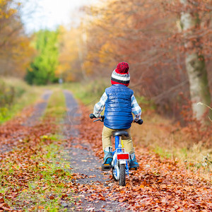 小家伙在秋天的树林自行车的男孩