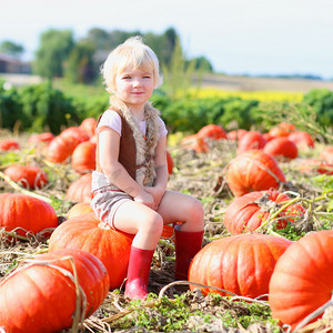 Funny little kid at the pumpkin field