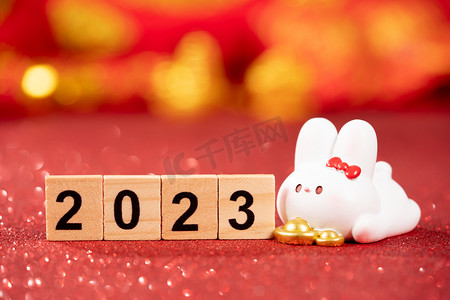 红色中国风新年摄影照片_新年白天白兔室内2023年摄影图配图