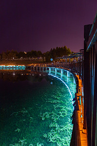 城市夜景夜晚水草湖边观光摄影图配图