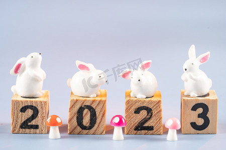 2023春节摄影照片_兔年2023新年室内白兔摄影图配图