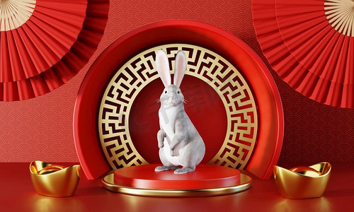 2023喜庆摄影照片_中国，兔子，2023年，快乐