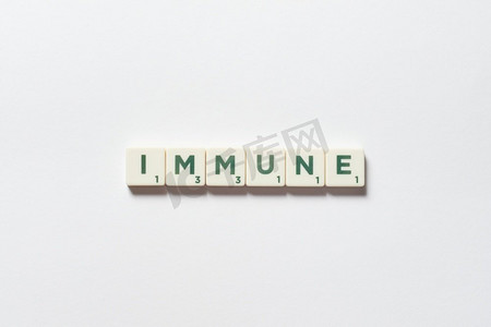 细菌免疫摄影照片_免疫字由拼字块在白色背景上组成。疾病预防和身体健康意识。免疫是由拼写积木形成的。