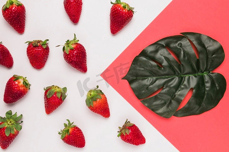 草莓卡通水果摄影照片_红色草莓大叶粉红色白色五彩背景