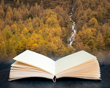 落叶松森林美丽的秋天风景与河和瀑布流动出来的页在书合成图象