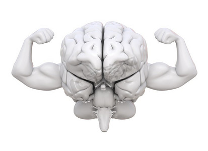 健康而强壮的大脑。智力和心智的健康。3D插图。健康强壮的大脑
