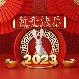 月球摄影照片_ 中国人，兔子，2023，快乐