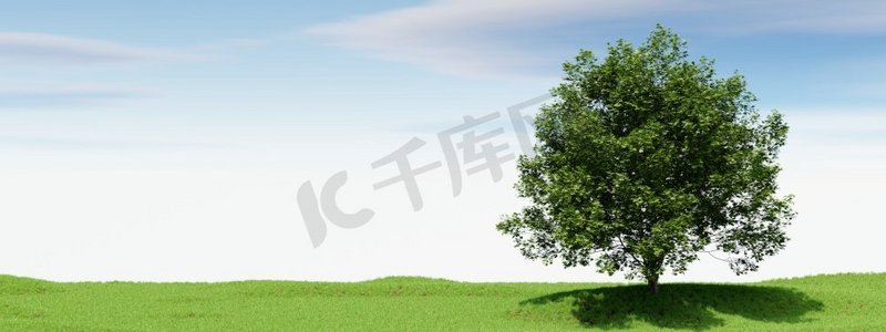 大树与蓝天背景。自然和景观概念。3D插图渲染