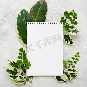叶子组合摄影照片_顶视图笔记本与美丽的植物叶子