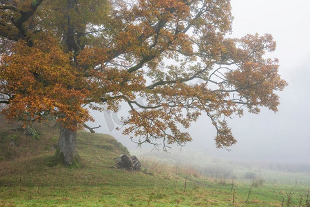 弥漫摄影照片_湖区布拉泰河史诗般的秋季景观--望着雾气弥漫的朗代派克斯和生机勃勃的林地
