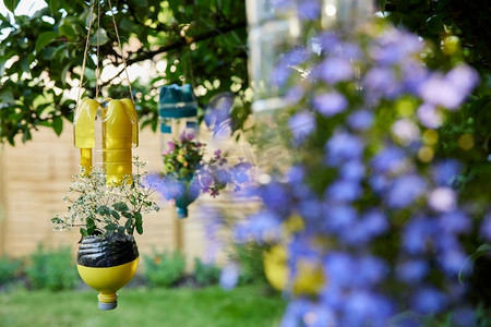 花园可再生塑料瓶制成的可持续植物保持器
