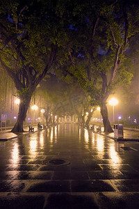 广州人民公园夜间浓雾弥漫。’中国广州。广州人民公园与雾在夜间，中国’