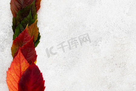 顶视图彩色秋天叶子与复制空间