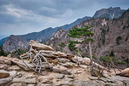 在多云的天气里，岩石和石头。韩国Seoraksan National Park韩国雪乐山国家公园的岩石