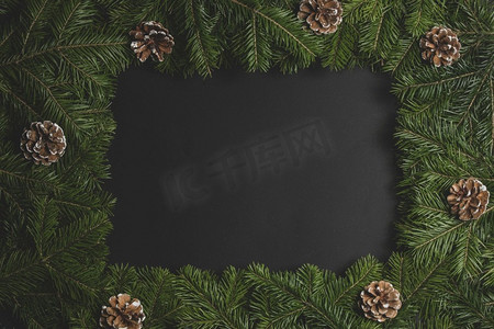 圣诞边框用新鲜的冷杉树枝和松果排列在黑色纸张背景上，复制文本空间。冷杉树枝的圣诞边框