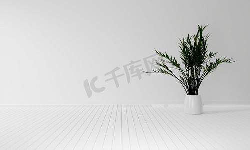 花瓶背景摄影照片_室内植物与复制空间在白色木地板背景。室内与自然的装饰理念。3D插图渲染 