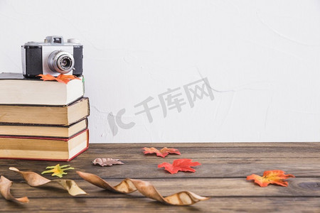 蔬菜干燥摄影照片_干燥的叶子靠近书籍相机