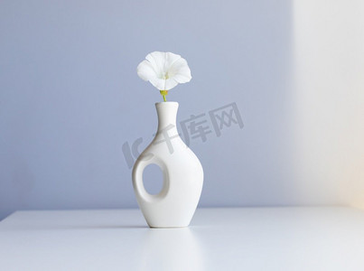 花瓶背景摄影照片_白色花瓶和白色花在抽象浅蓝色背景
