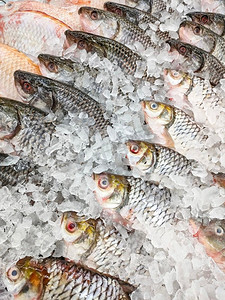 市场海鲜餐厅出售新鲜银鱼，冰上生鲤鱼