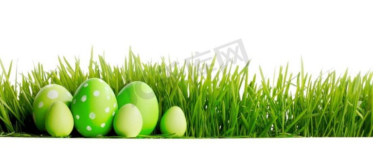 白色背景下，一排绿色的复活节彩蛋在新鲜的绿色草地上隔离开来。草地上的一排复活节彩蛋