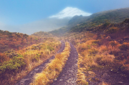 塔拉纳基山摄影照片_塔拉纳基山/埃格蒙特山在埃格蒙特国家公园，北岛，新西兰。美丽的自然景观