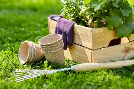 园艺和人的概念—花园工具和花卉在木箱在夏天。夏天，在木箱里的花园工具和鲜花
