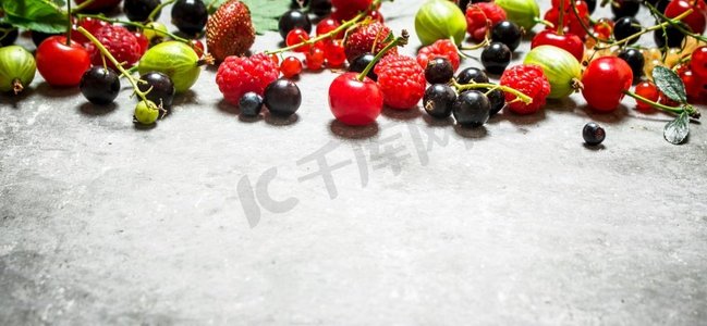 老石桌上的野浆果石桌上的野浆果