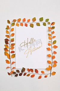 秋天叶子框架在白色背景和文字