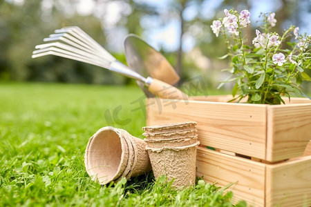 草坪和人摄影照片_园艺和人的概念—花园工具和花卉在木箱在夏天。夏天，在木箱里的花园工具和鲜花