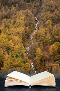 落叶松森林美丽的秋天风景与河和瀑布流动出来的页在想象的书数字合成