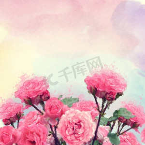 粉红玫瑰水彩插图。数码绘画