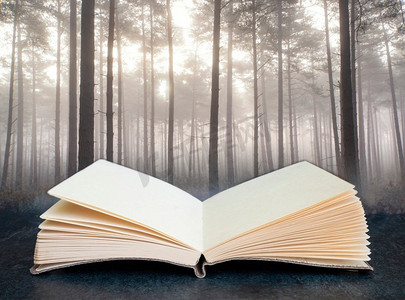 十一月风景摄影照片_秋天秋天风景雾的早晨在松树林出来的页在一本书
