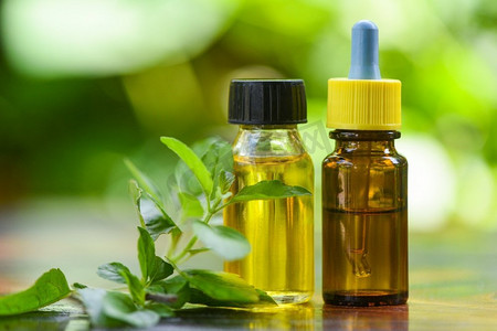 圣罗勒精油自然和绿色背景/芳香疗法草药油瓶香味与叶子的草药配方包括和草药