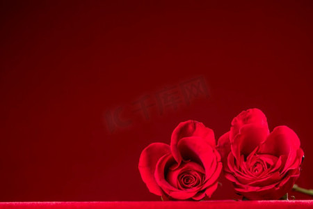红玫瑰的心在暗红色背景情人节设计。红玫瑰的心