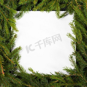 天然冷杉圣诞树广场边框隔开白色，文案空间为文字。白色的冷杉树枝框