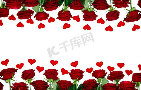红玫瑰和纸心边框隔绝在白色背景上，情人节和S。红玫瑰和纸心