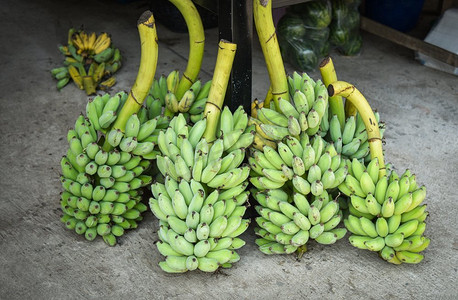 新鲜青香蕉在当地市场出售亚洲水果