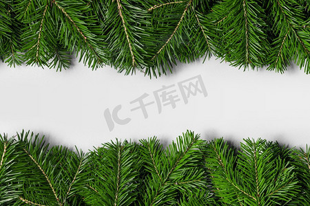 圣诞节文本框摄影照片_天然冷杉圣诞树边框，白色隔离，文字复制空间。白色的冷杉树枝框