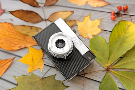秋天木板背景摄影照片_摄影和季节概念胶片照相机和秋天叶子在灰色木板背景。摄影机和木板上的秋天的叶子