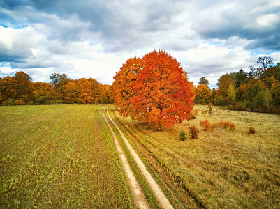 秋天的乡村景象。老公园与红枫树，农业领域和泥土乡村道路。秋季天气多云天空.纳德曼公园