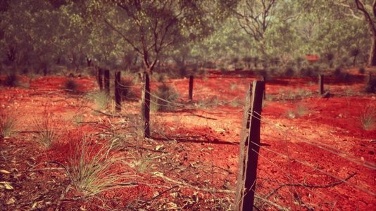 澳大利亚内陆地区的野狗围栏