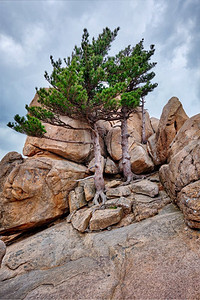 岩石与松树在多云的天气。韩国Seoraksan National Park岩石与松树在雪乐山国家公园，韩国