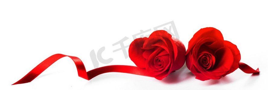 红色玫瑰和卷曲丝带的心隔绝在白色背景情人节设计。玫瑰之心