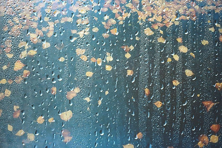 雨伞摄影照片_ 公园，雨伞，秋天，自然